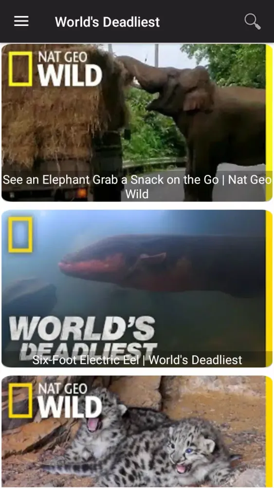 National Geographic Wild Screenshots