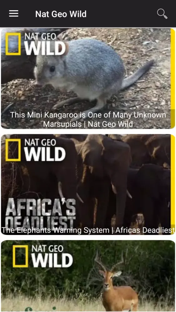 National Geographic Wild Screenshots