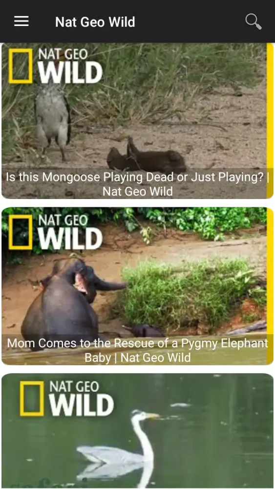 National Geographic Wild Screenshots