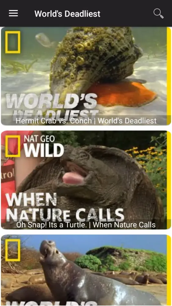 National Geographic Wild Screenshots