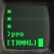 Terminal Pro - Green CRT Theme