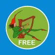 Free Fairy Tarot Cards, by Jaya Moran