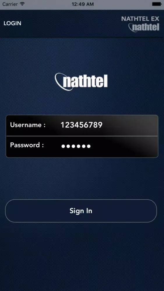 Скриншоты NathTel EX