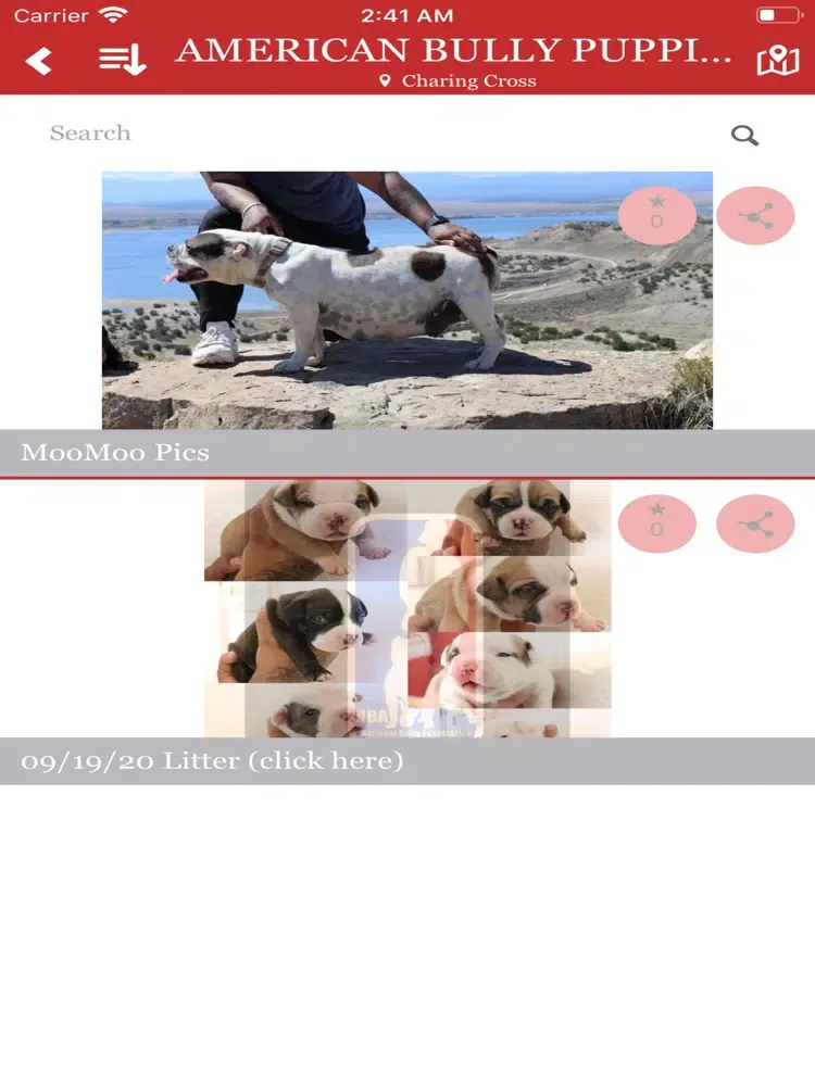 NATIONAL BULLY ASSOCIATION LLC iPad 应用截图