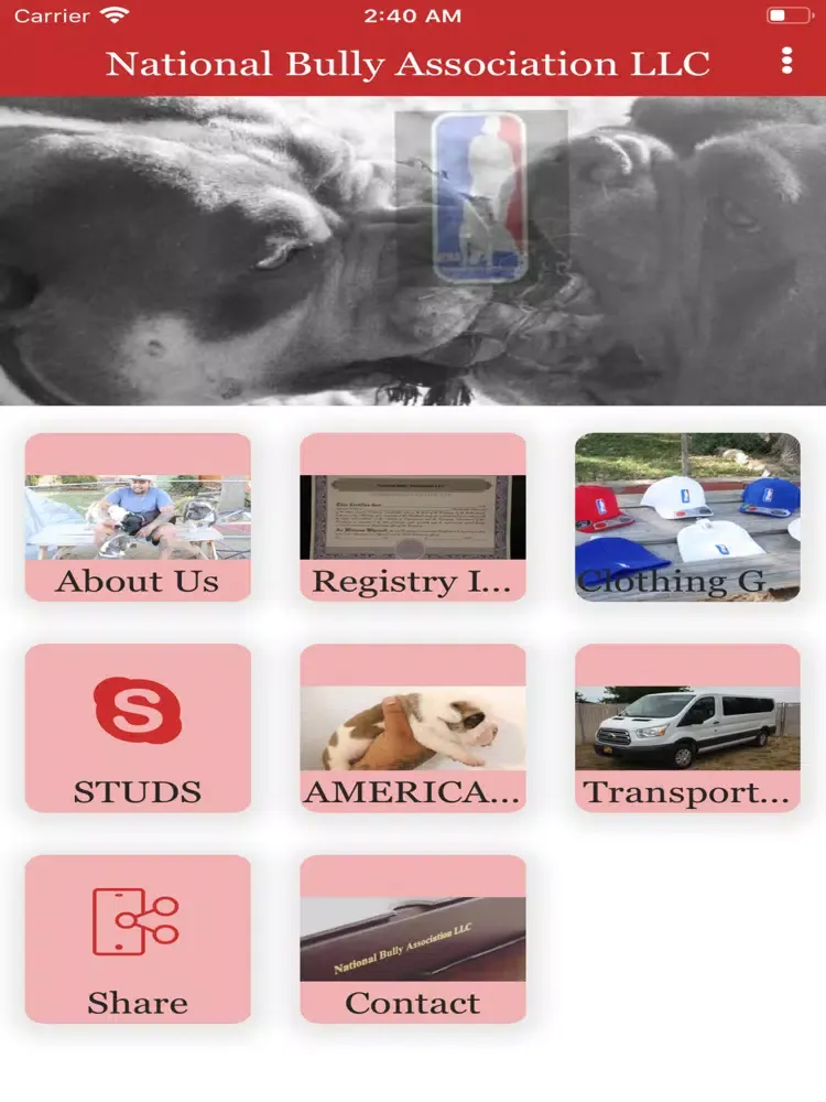 NATIONAL BULLY ASSOCIATION LLC iPad 应用截图