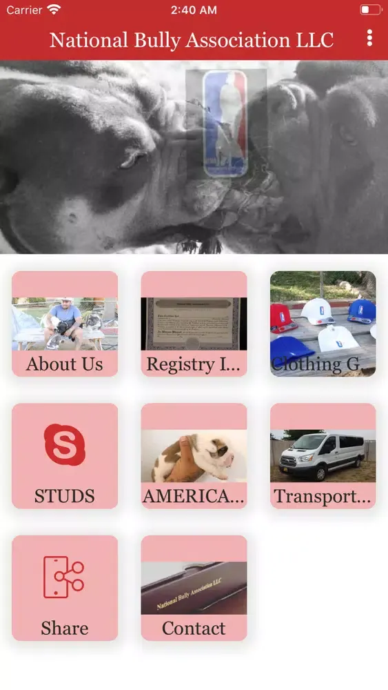 NATIONAL BULLY ASSOCIATION LLC应用截图