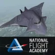 National Flight Academy National Flight Academy