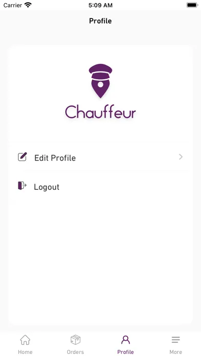 Captures d'écran de Chauffeur Driver