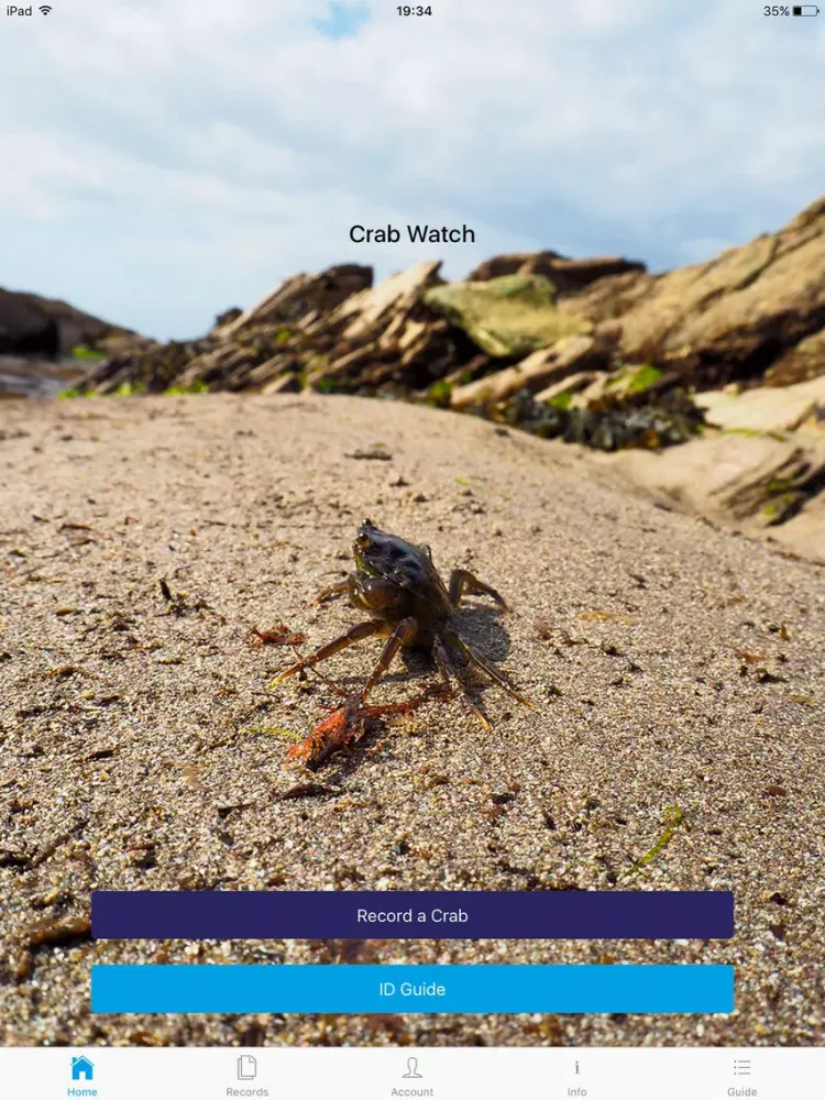 Crab Watch iPad 应用截图