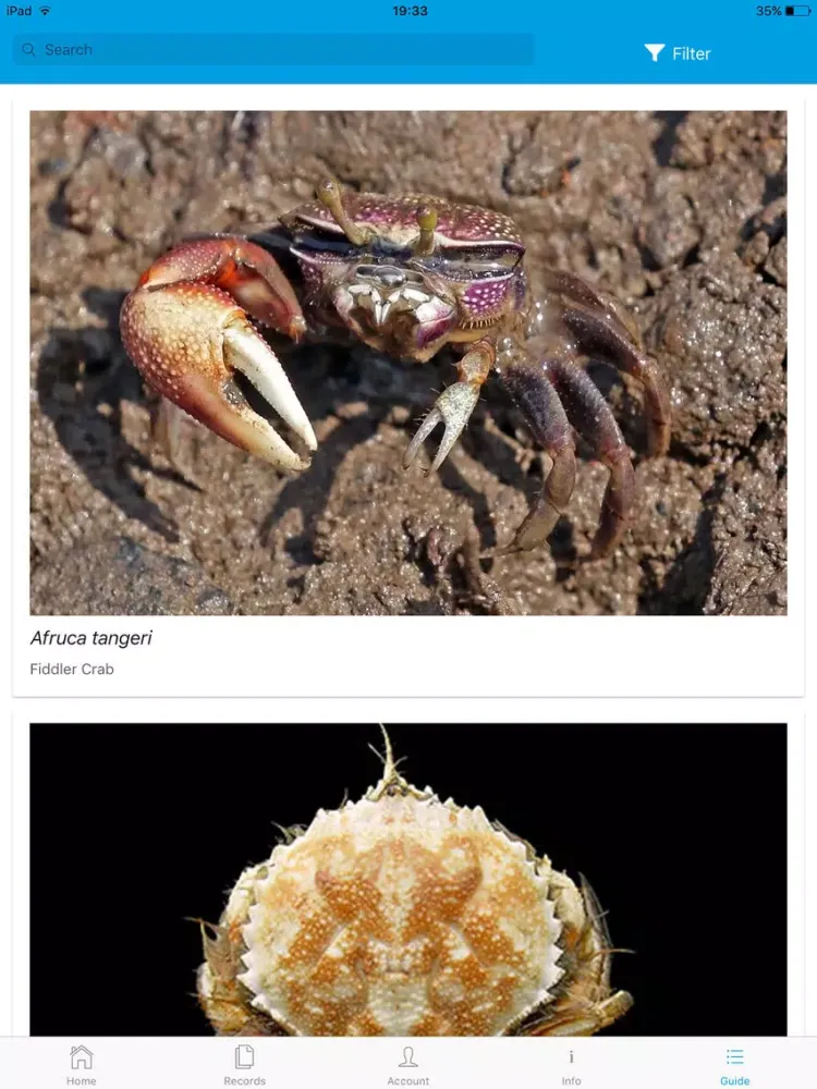 Crab Watch iPad 应用截图