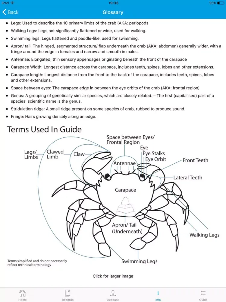 Crab Watch iPad 应用截图