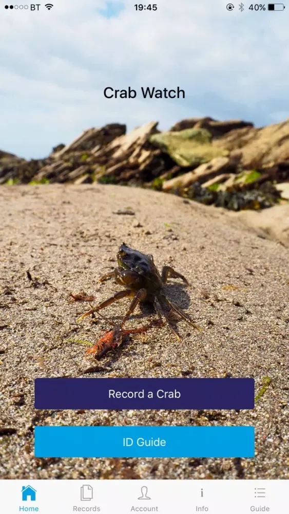 Crab Watch应用截图