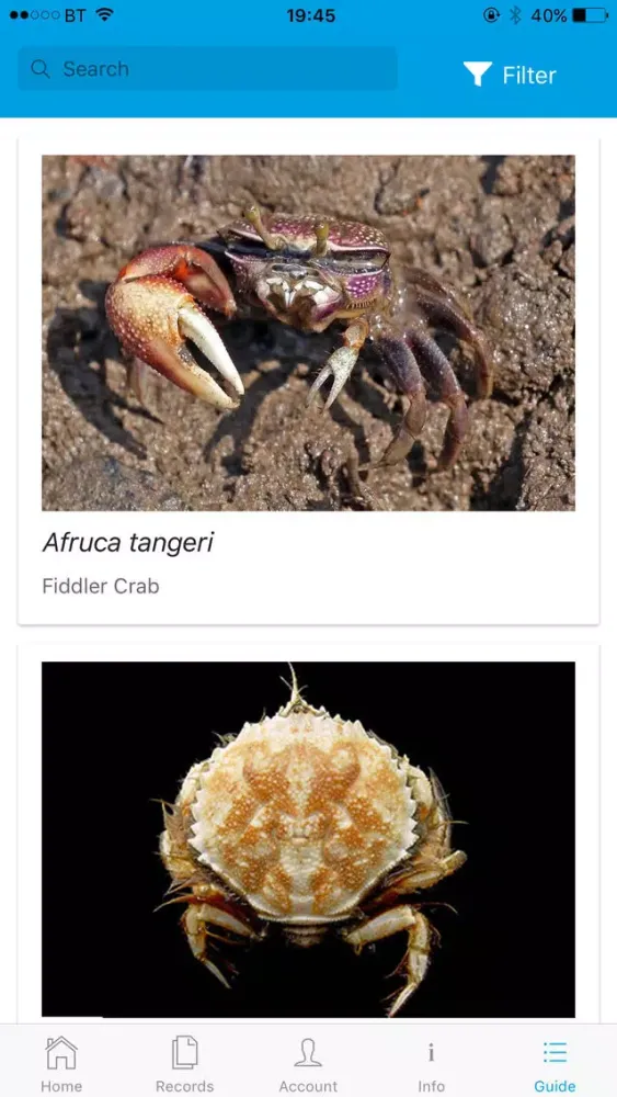 Crab Watch应用截图
