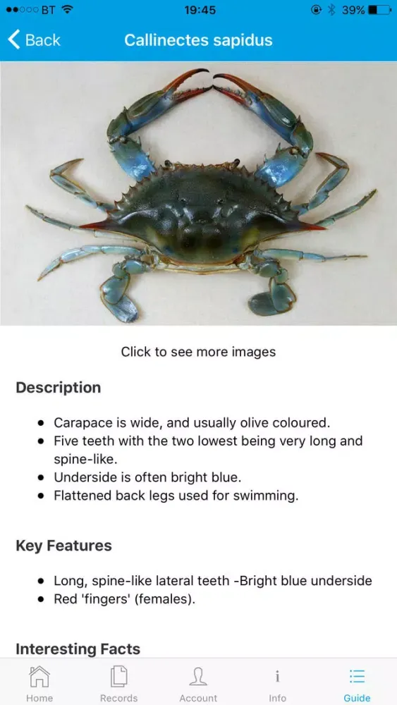 Crab Watch应用截图