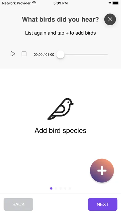 Capturas de tela do Dawn Chorus