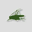 iRecord Grasshoppers iRecord Grasshoppers