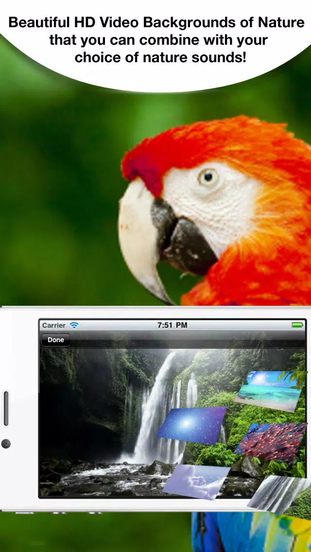 تصاویر Pocket Nature Sounds: A relaxing soundscape for deep sleep and relaxation