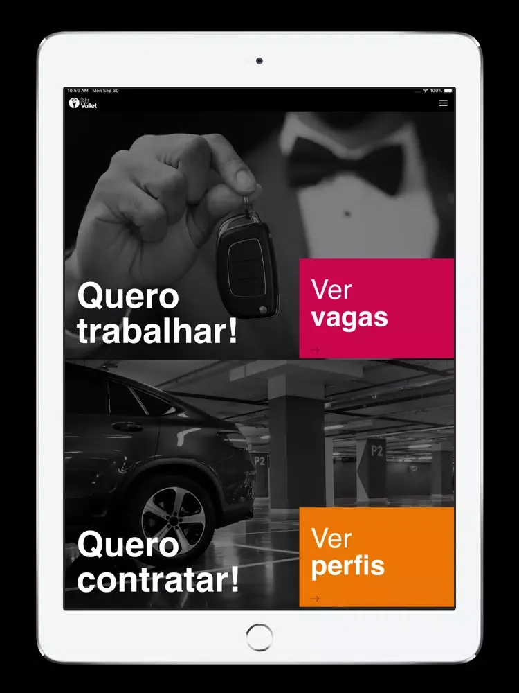 My Vallet iPad 应用截图