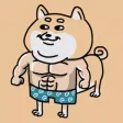 Naughty Cute Dog Naughty Cute Dog