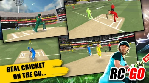 Real Cricket™ GO-screenshot-3