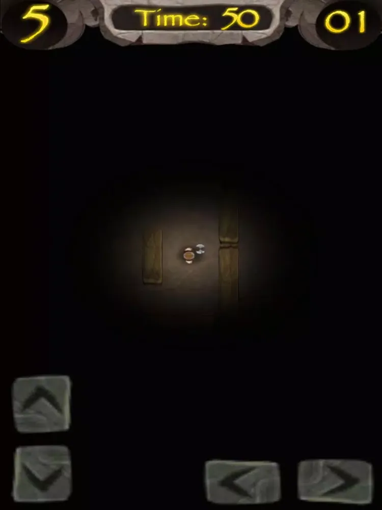 Tangkapan skrin Prince Viking in Dungeons iPad 