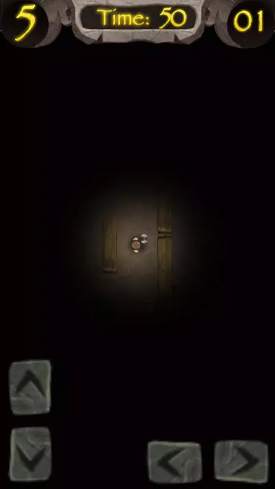 Tangkapan skrin Prince Viking in Dungeons