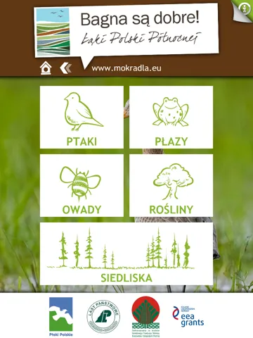 Ptaki i przyroda mokradeł iPad  Screenshots