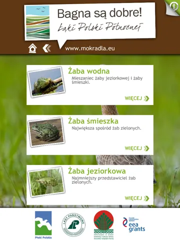Ptaki i przyroda mokradeł iPad  Screenshots