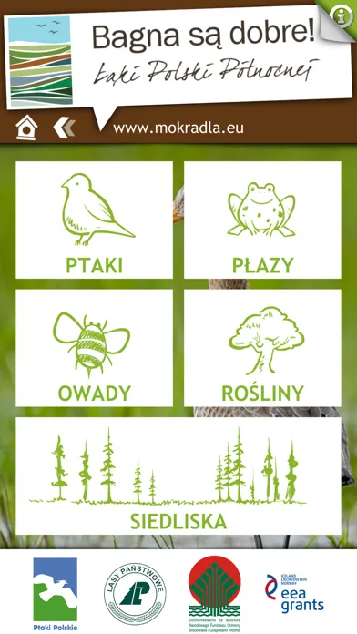 Ptaki i przyroda mokradeł Screenshots