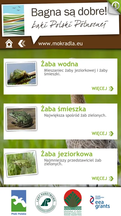 Ptaki i przyroda mokradeł Screenshots