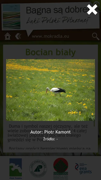 Ptaki i przyroda mokradeł Screenshots