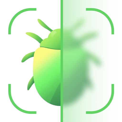 Insect Identifier AI: BugScan
