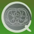 CT PassQuiz Chest / MRI