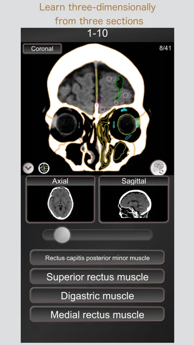 CT PassQuiz Head/Brain / MRI Screenshots