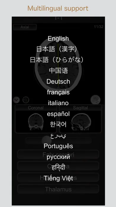 CT PassQuiz Head/Brain / MRI Screenshots