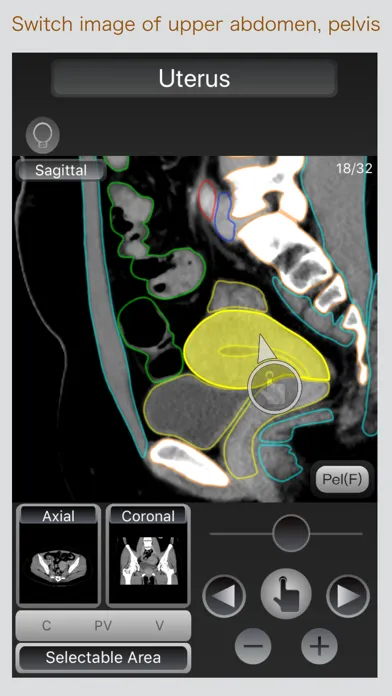 صور CT Passport Abdomen