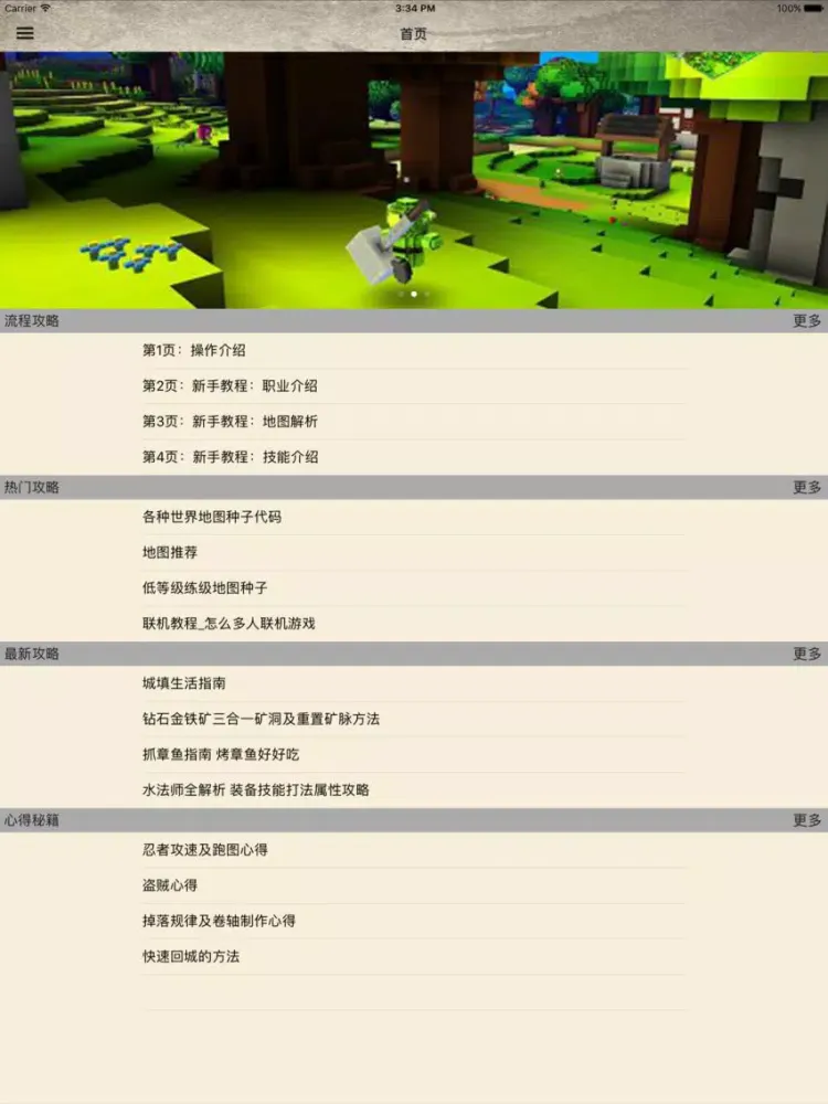 攻略For立方体世界 iPad  Screenshots