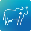 NCDFI eMarket