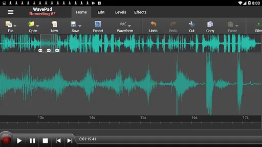 WavePad Master's Edition应用截图