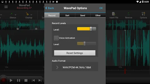WavePad Master's Edition应用截图