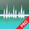 WavePad Professionale 2022