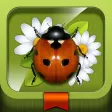 Meet the Insects: Village Edition