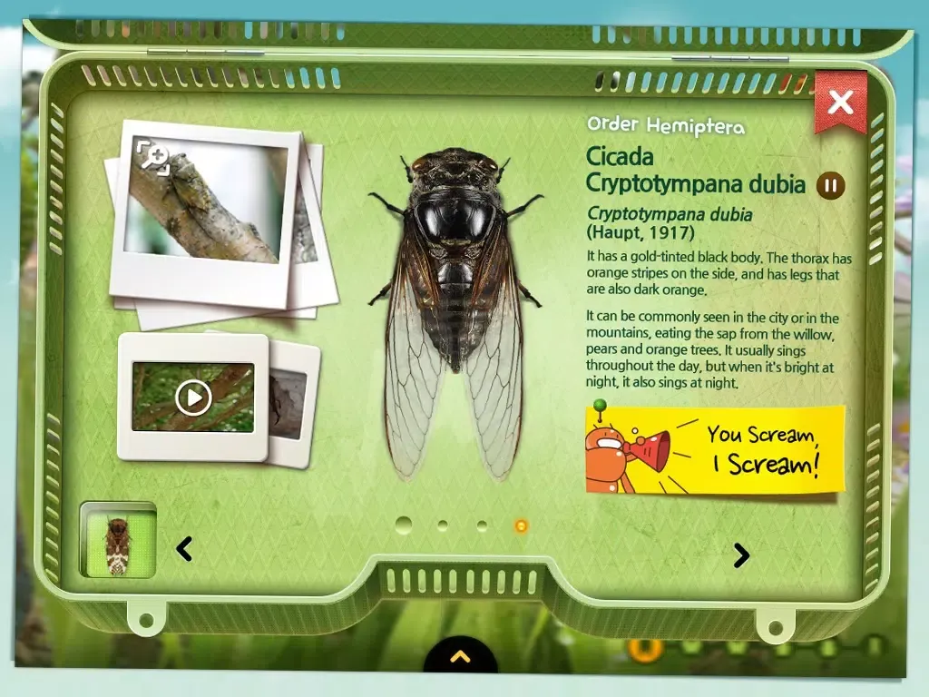 صور Meet the Insects: Village Edition iPad 