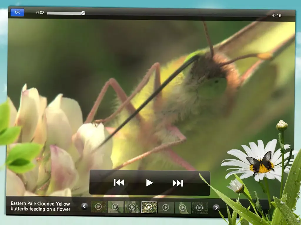 صور Meet the Insects: Village Edition iPad 