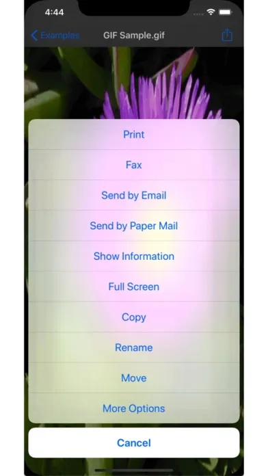 صور Replicate Pro + Live Streaming
