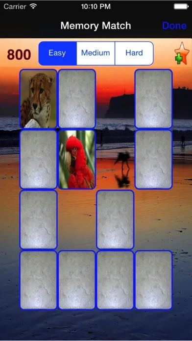 صور Memorize and Match