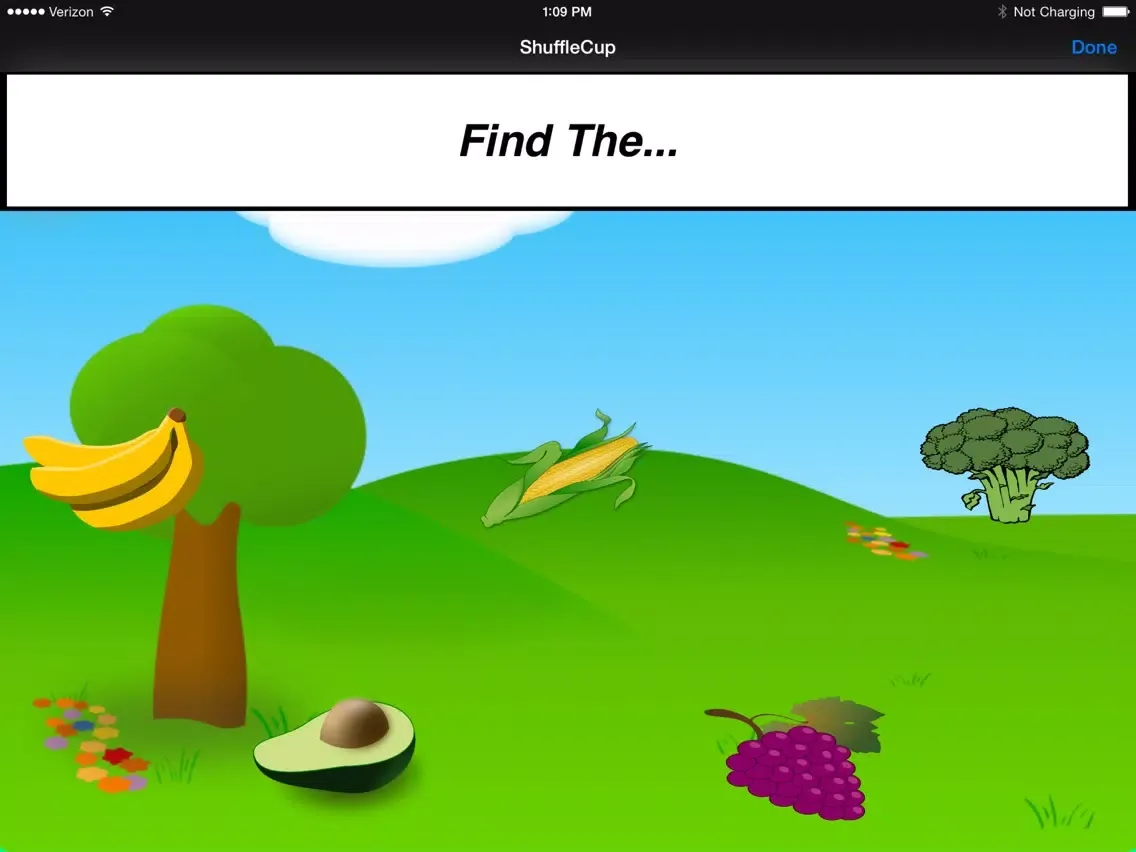 ShuffleCup iPad  Screenshots