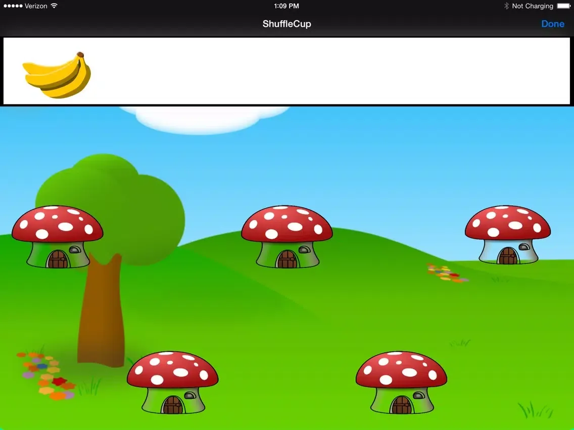 ShuffleCup iPad  Screenshots