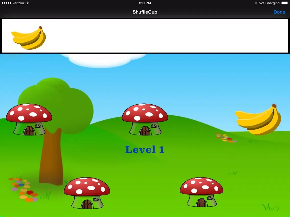 ShuffleCup iPad  Screenshots