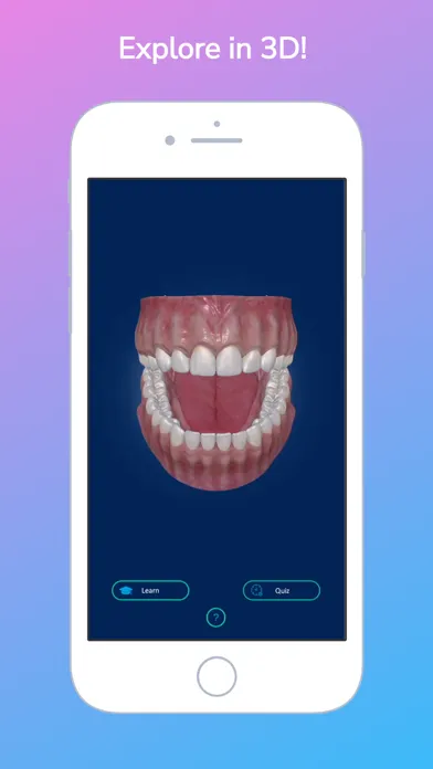 i-DENTify: Dental Anatomy स्क्रीनशॉट